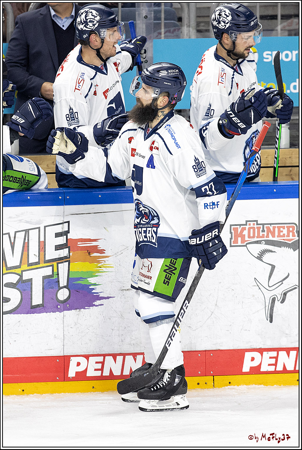 PENNY DEL;  Koelner Haie - Straubing Tigers; Koeln, 15.10.2021